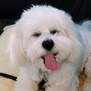 Meet your Posher, Alaina